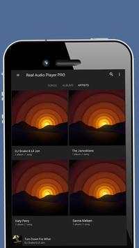 Real Audio Player PRO screenshot 2