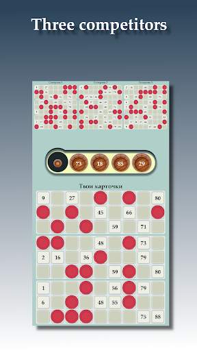 Lotto screenshot 2