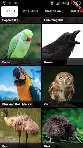 Bird Sounds स्क्रीनशॉट 8