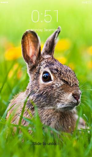 Rabbit run Lock Screen Wallpaper 1 تصوير الشاشة