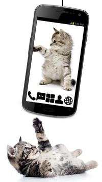 Little Kitty GO Launcher Theme screenshot 1