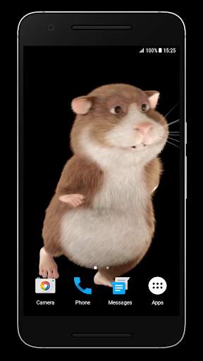 Hamster Video Live Wallpaper screenshot 4