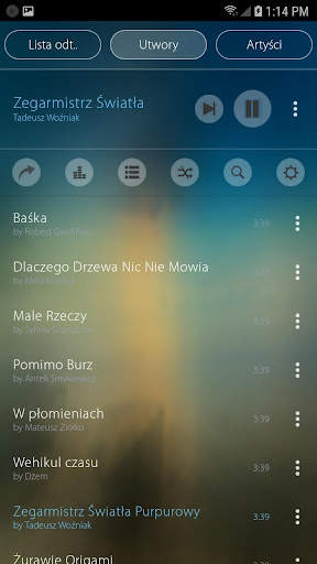 Mp3 Player screenshot 1