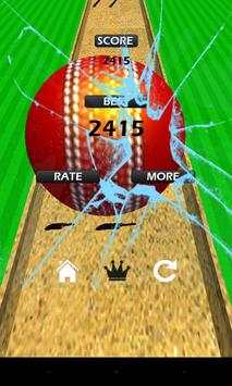 Rogue Cricket Ball screenshot 4