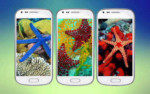 Starfish 3D Free Live Wallpaper screenshot 1