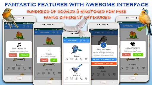 Bird Calls, Sounds & Ringtones for mind relaxation screenshot 3