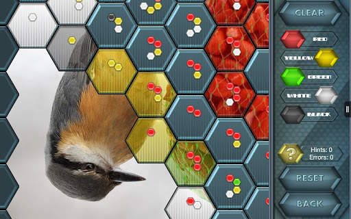 HexLogic - Birds screenshot 7