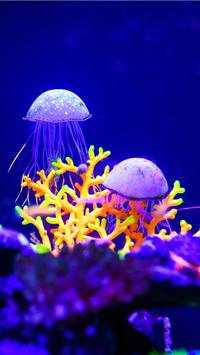 Aquarium Wallpaper HD Free screenshot 2