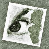 Picture Sketch SE 1.12.5