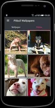 Pitbull Wallpapers screenshot 2