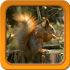 Animals Live Wallpapers icon