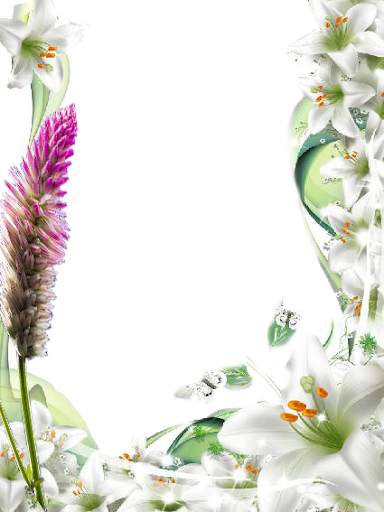 Flower Frames Photo Maker screenshot 5