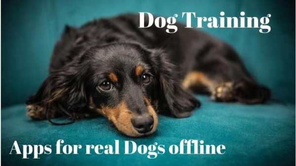 Dog Training Apps for real Dogs offline screenshot 5