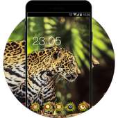 Lepoard Live HD Wallpaper: Animal King Theme logo