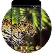 Lepoard Live HD Wallpaper: Animal King Theme 1.0.0