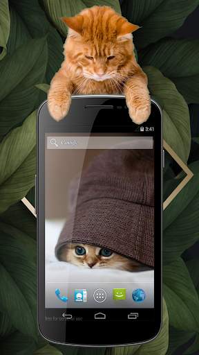 Cute Cat Wallpapers screenshot 2