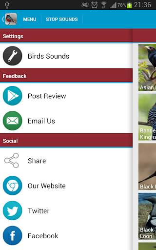 Asian Birds Sounds Free screenshot 8