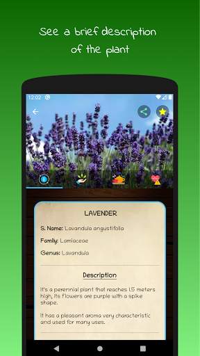 myRemedy: Medicinal plants and their uses screenshot 4