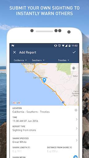 Dorsal Shark Reports screenshot 4