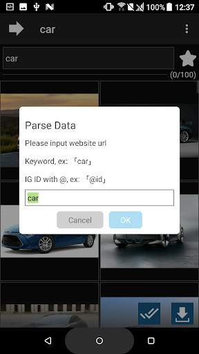 Image Searcher/Downloader - Keyword/Web/IG screenshot 1