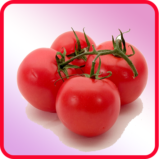 Tomato Recipes: Tomato soup, Tomato salad icon