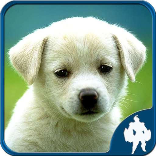 Puzzles animaux icon