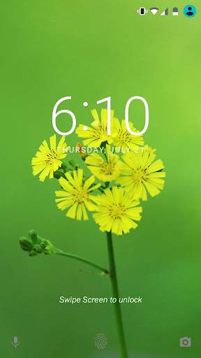 Flower Wallpaper screenshot 11