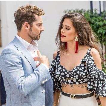 David Bisbal Songs Wallpapers screenshot 3