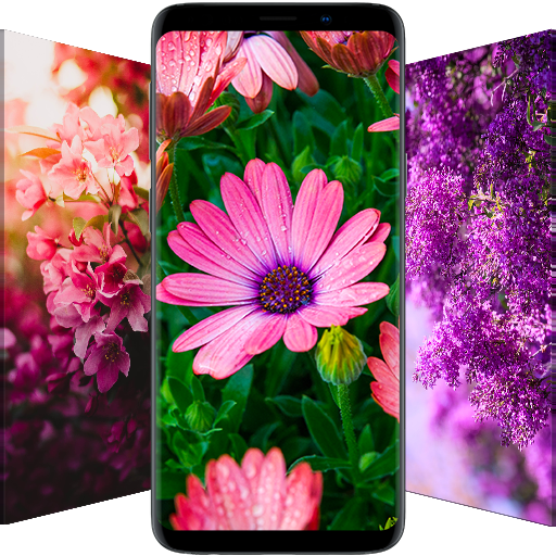 Flower Wallpapers in HD, 4K icon