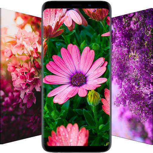 Flowrify - Flower Wallpapers 5.0.52