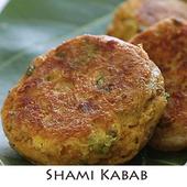 Shami Kebab Recipes icon