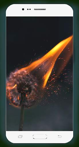 Fire Wallpaper HD screenshot 10