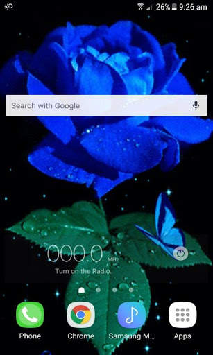 Blue Rose Beauty LWP screenshot 2