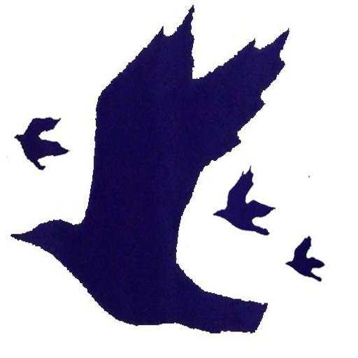 BLUE BIRD 1.0.02