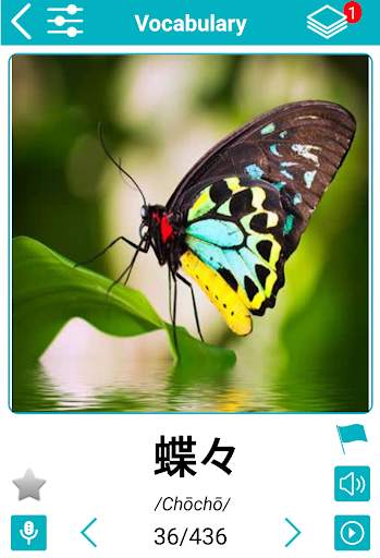 Japanese 5000 Words with Pictures скриншот 8