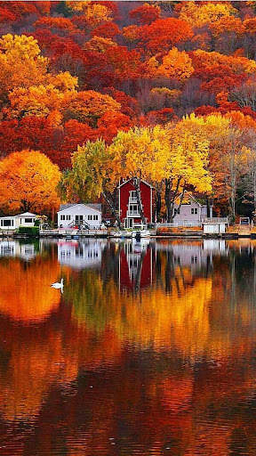 Autumn Wallpaper screenshot 8