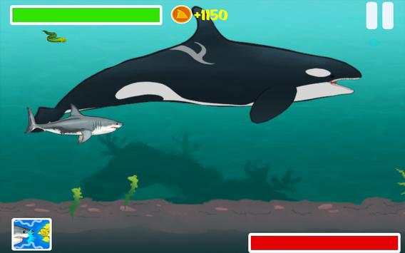 Shark Week: Shark Strike screenshot 21