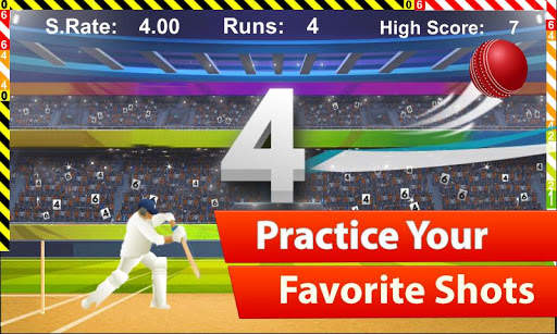 Cricket Match 2018 screenshot 4