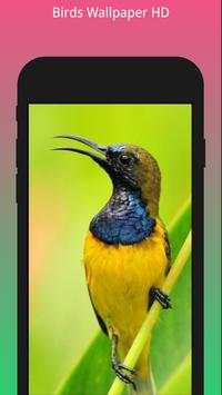 HD Best Birds Wallpaper 4K - Mobile Themes screenshot 2