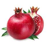 Fruit Master icon
