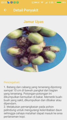 Sistem Pakar Kopi (SiPaPi) screenshot 6