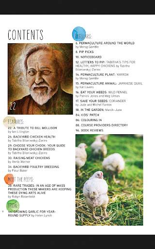 Pip Magazine скриншот 10