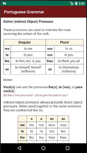 Portuguese Grammar Essentials screenshot 3