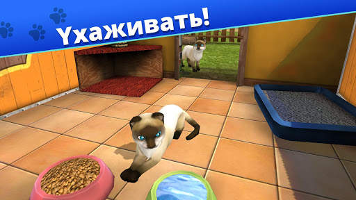 Pet World - приют для животных скриншот 3