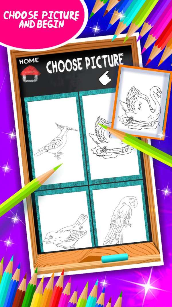 Birds Coloring Book screenshot 3