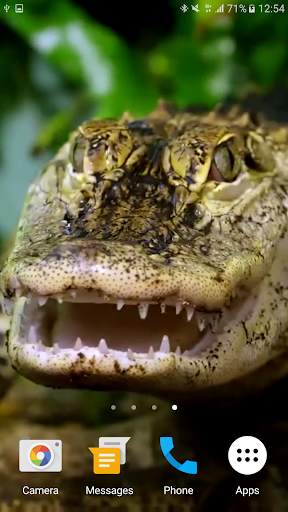 Crocodile Live Wallpaper screenshot 3