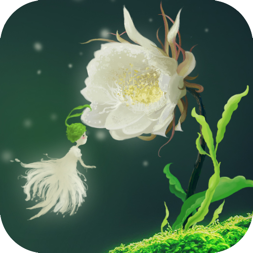 Cactus Flower Live Wallpaper icon