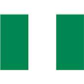 Nigeria TV Channels logo