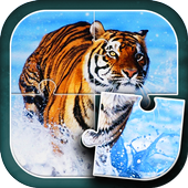 Tigers Jigsaw Puzzle icon