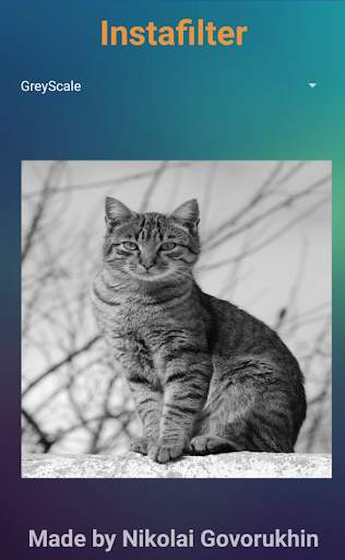 PhotoFilter screenshot 3